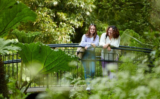 Students on a bridge