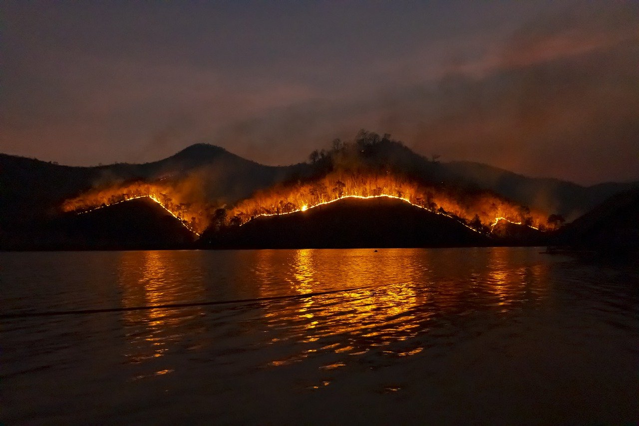 Wildfire image